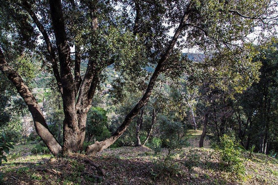 Farm stay Bardi Con Vista Mare